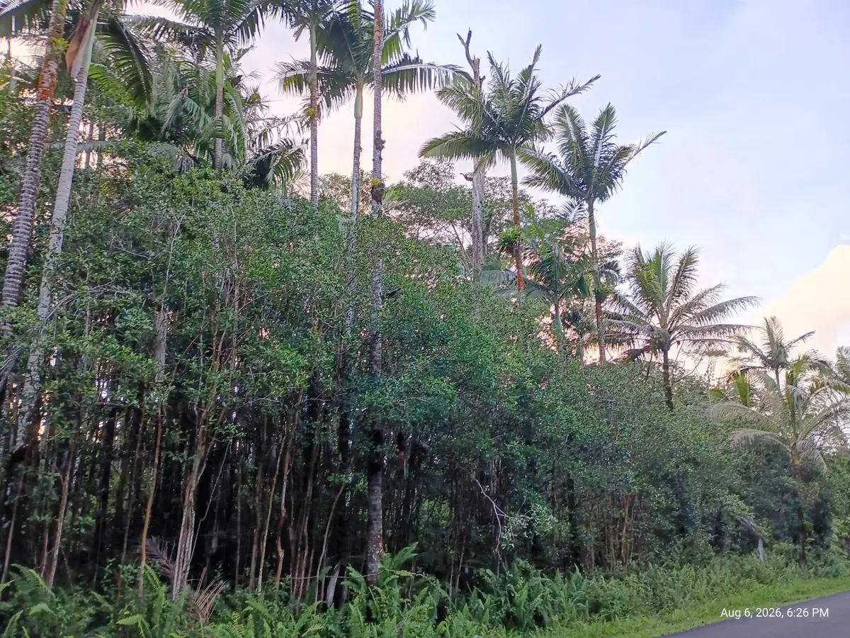 Maile St, Pahoa, HI 96778 - #1