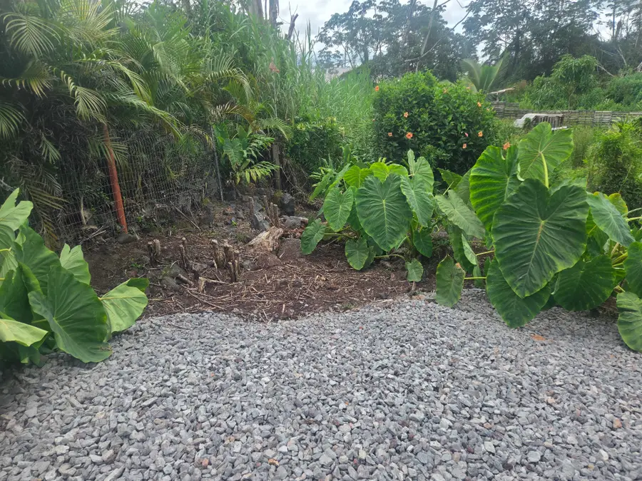 King Kamehameha Blvd, Kurtistown, HI 96760 - #3