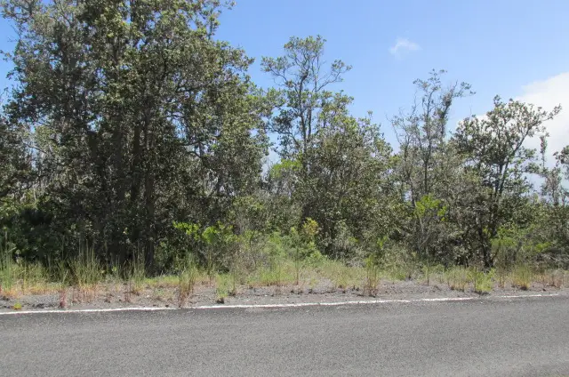 Palm Pkwy, Ocean View, HI 96737 - #2