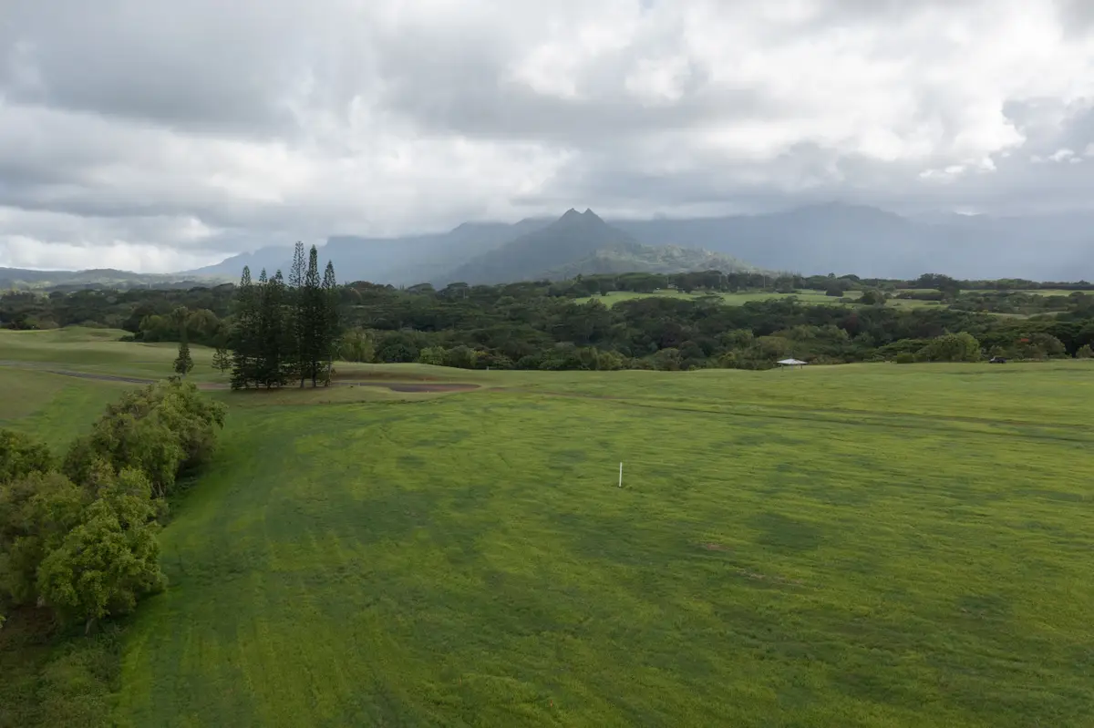 4143 Hihimanu Rd #20, Kilauea, HI 96754 - #1