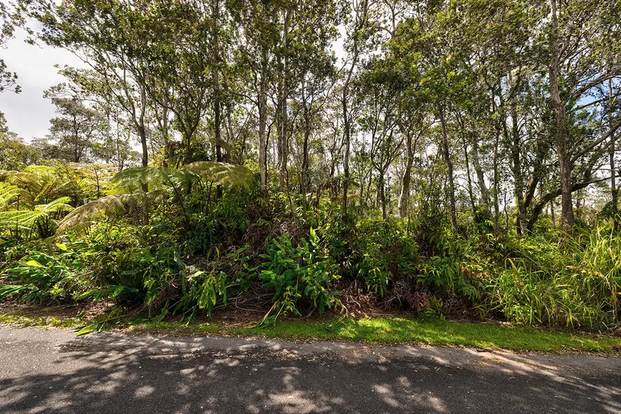 11-3844 9th St, Volcano, HI 96785 - #3