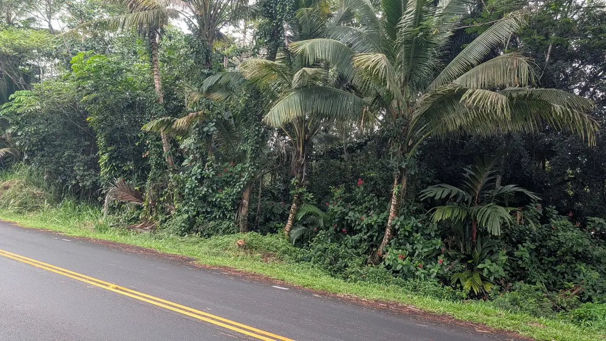 Kahakai Blvd, Pahoa, HI 96778 - #1