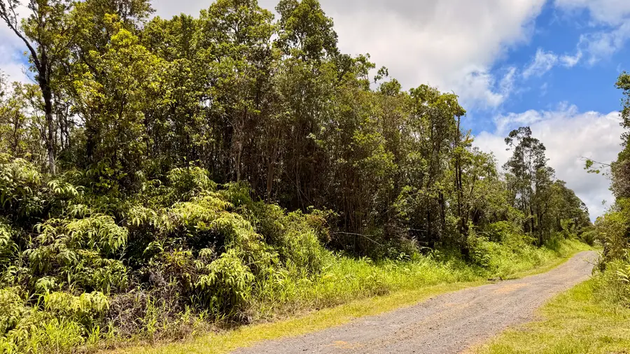 Makoa Rd, Volcano, HI 96785 - #3