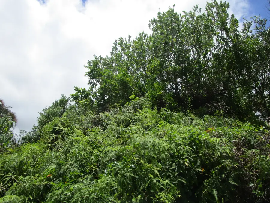 34 Malama Pl, Hilo, HI 96720 - #3