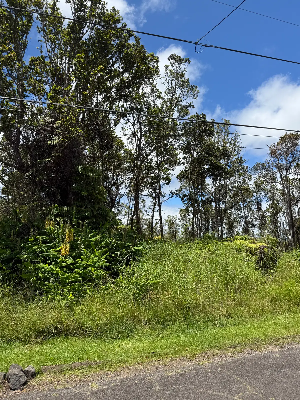 11-3306 Anuhea St, Volcano, HI 96785 - #1