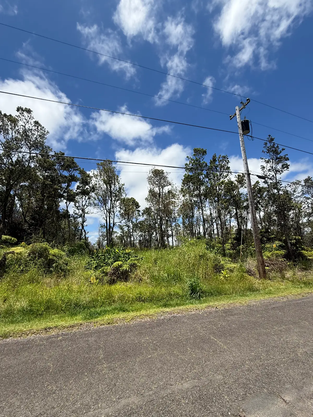 11-3308 Anuhea St, Volcano, HI 96785 - #1