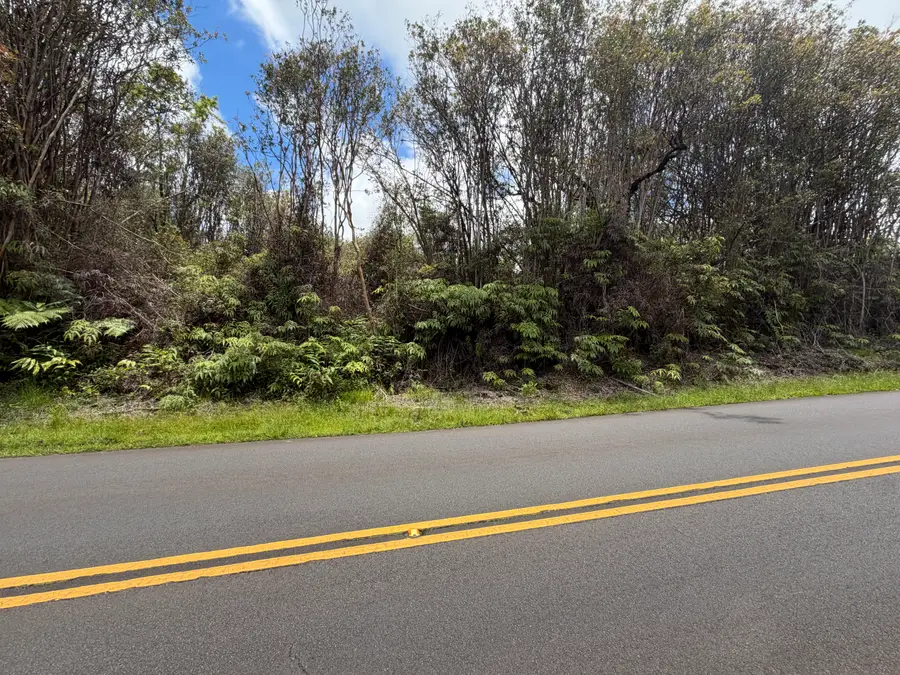 18-8069 Kulani Rd, Mountain View, HI 96771 - #2