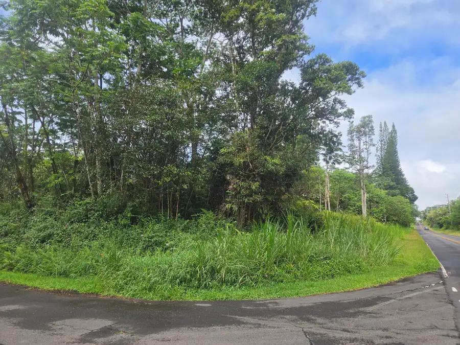 13-3550 Pomaikai St, Pahoa, HI 96778 - #2
