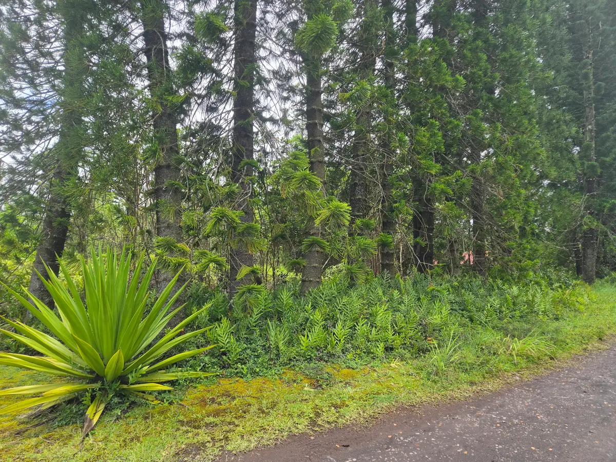 16-315 Kehaulani St, Kurtistown, HI 96760 - #1