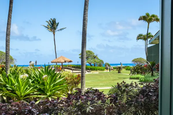 4331 Kauai Beach Dr #3124, Lihue, HI 96766