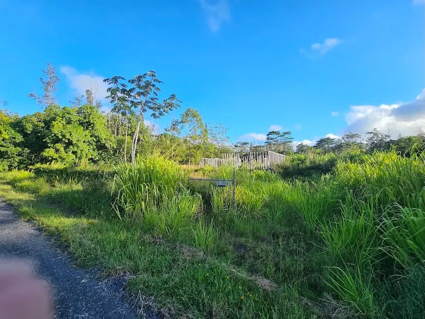 15-2016 14th Ave, Keaau, HI 96749 - #1