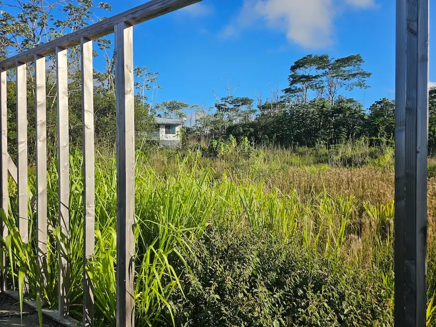 15-2016 14th Ave, Keaau, HI 96749 - #2