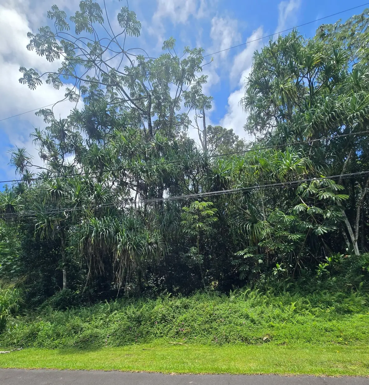 Nenue St, Pahoa, HI 96778 - #1
