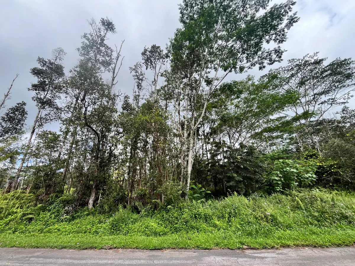 14-3368 Mauna Kea Rd, Pahoa, HI 96778 - #1