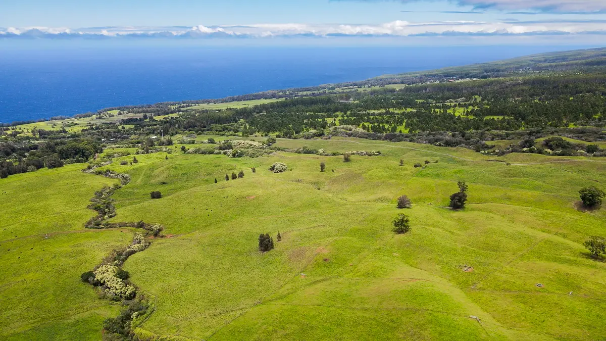 Address Withheld By Seller, Honokaa, HI 96727 - #1
