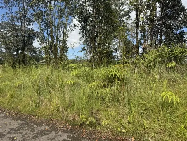 Holana St, Mountain View, HI 96771 - #3