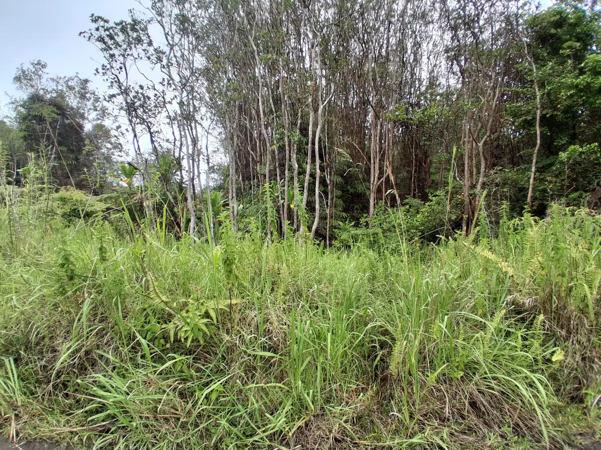 Road 7, Mountain View, HI 96771 - #1
