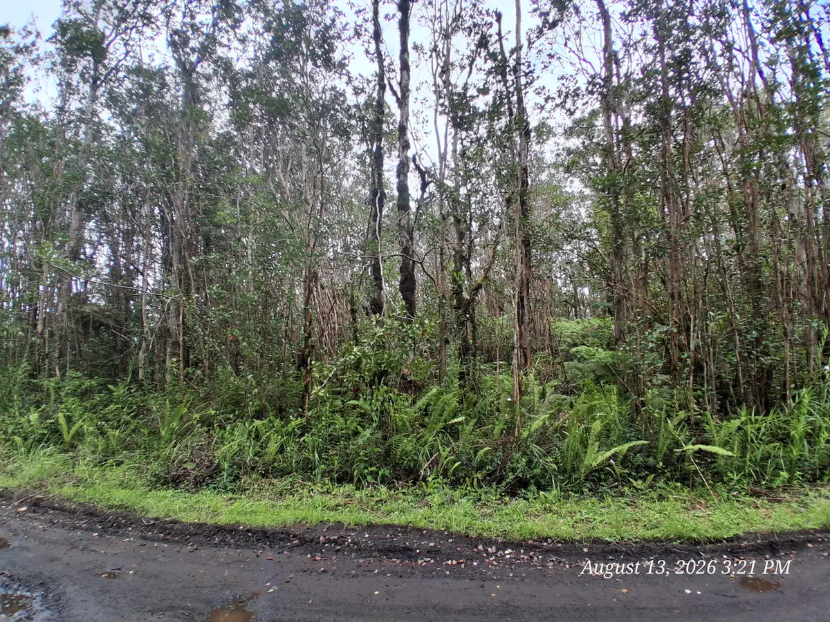 Palainui Ave, Mountain View, HI 96771 - #1