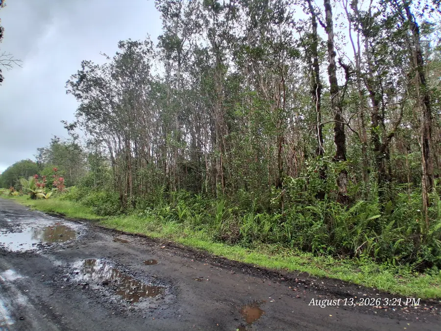 Palainui Ave, Mountain View, HI 96771 - #3