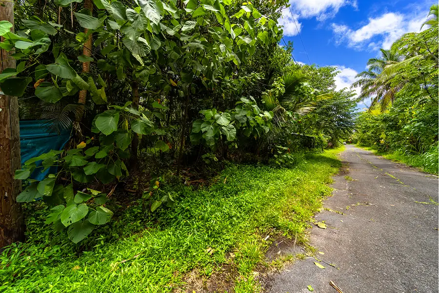 12-7016 Akanikolea St, Pahoa, HI 96778 - #3
