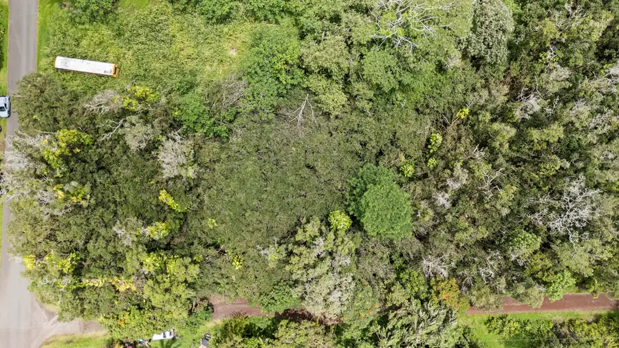 12-4317 Kalapana St, Pahoa, HI 96778 - #2