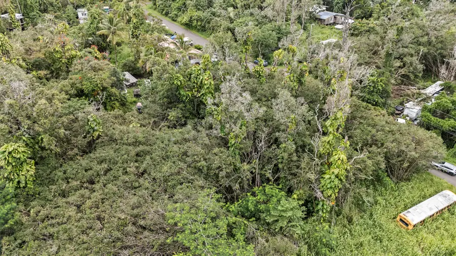 12-4317 Kalapana St, Pahoa, HI 96778 - #3