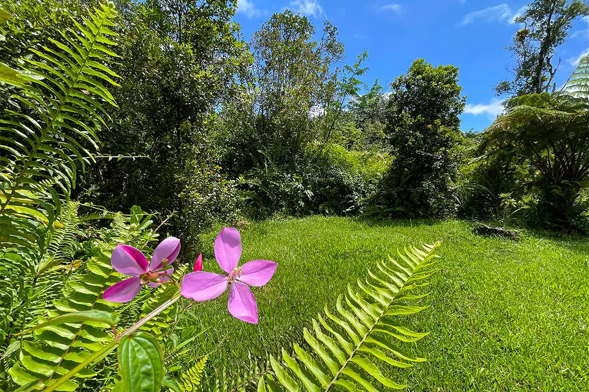 Maile St, Pahoa, HI 96778 - #1