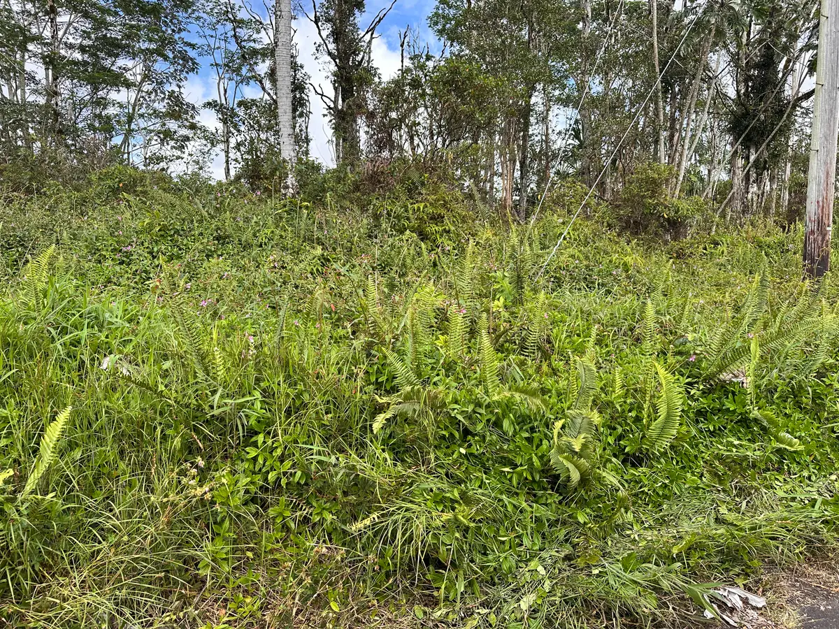 Road 6 (ooaa), Kurtistown, HI 96760 - #1