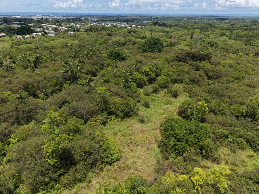 280 Laula Rd, Hilo, HI 96720 - #3