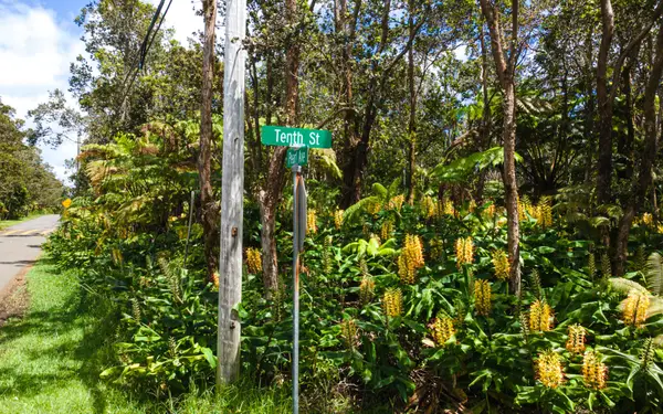 11-3878 10th St, Volcano, HI 96785