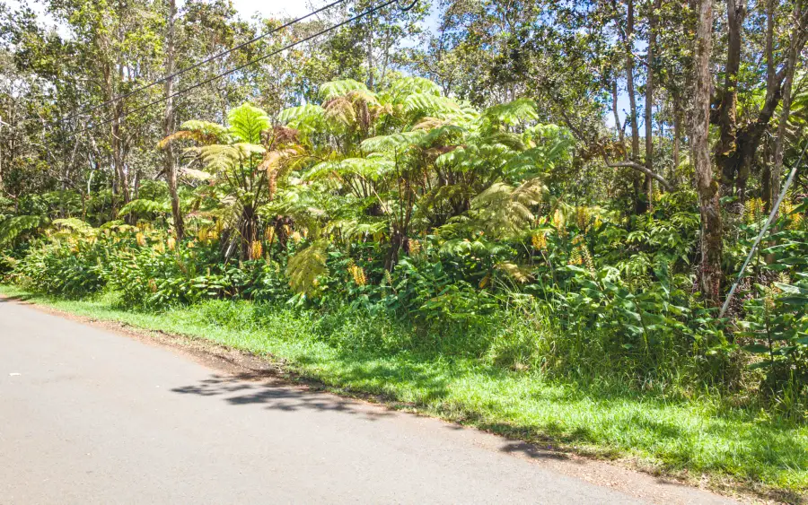 11-3878 10th St, Volcano, HI 96785 - #2