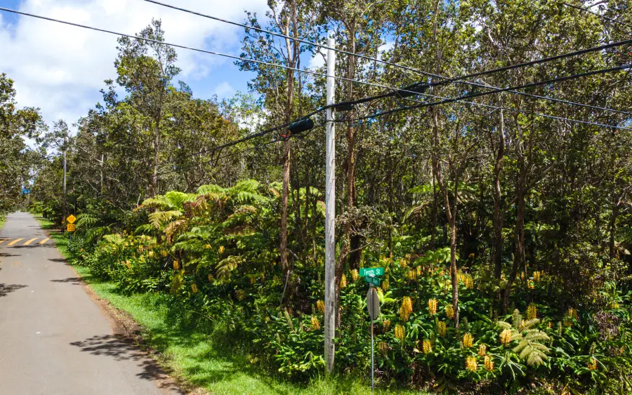 11-3878 10th St, Volcano, HI 96785 - #3