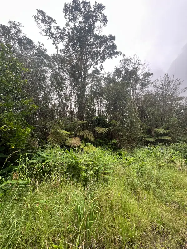 18-2319 Kakahiaka Uhane St, Mountain View, HI 96771