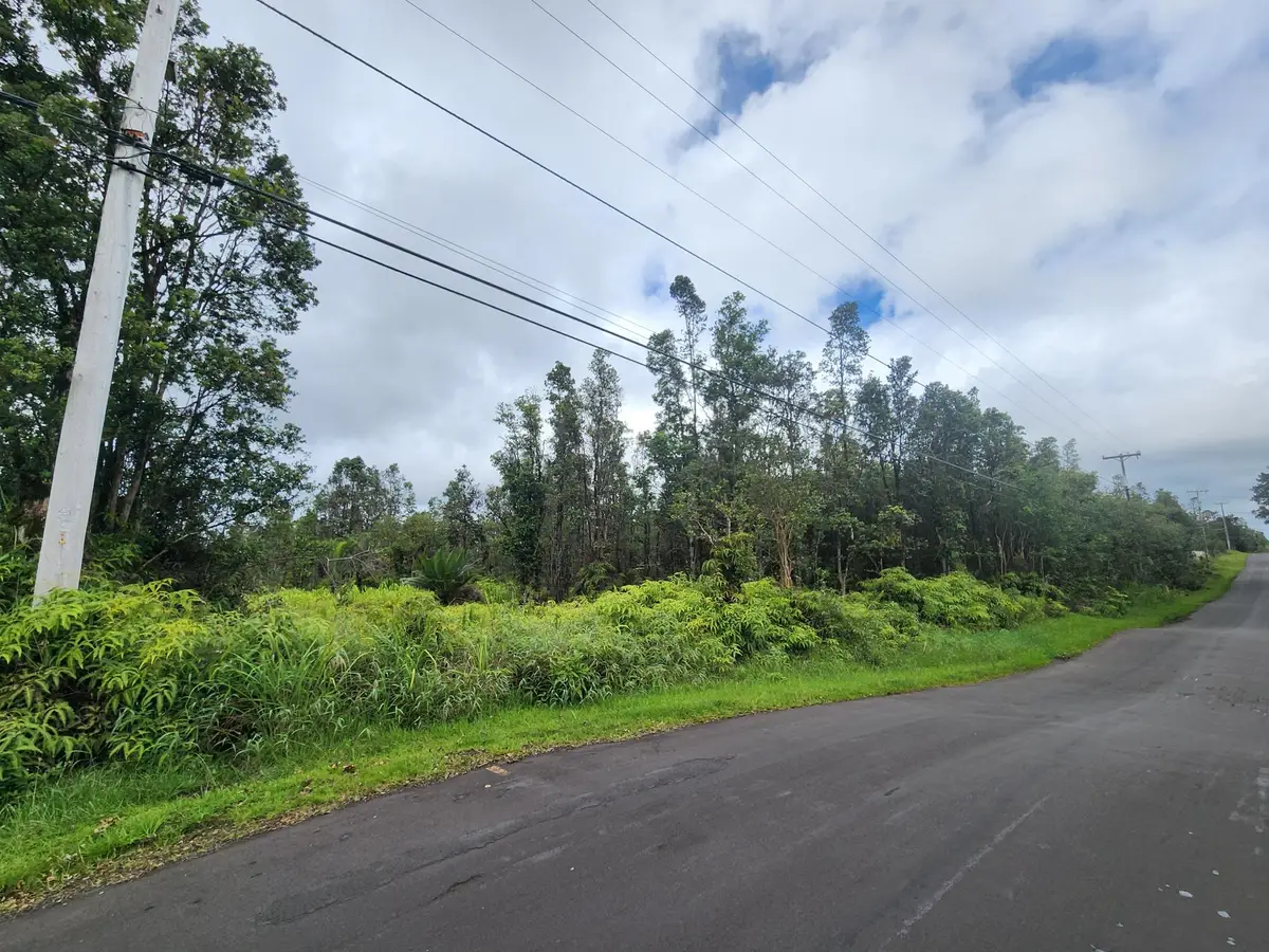 Lehua St, Mountain View, HI 96771 - #1