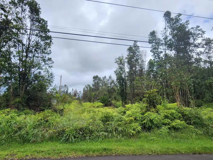 Lehua St, Mountain View, HI 96771 - #3