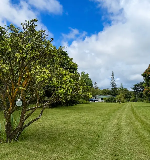 16-1272 Hopue Rd, Mountain View, HI 96760