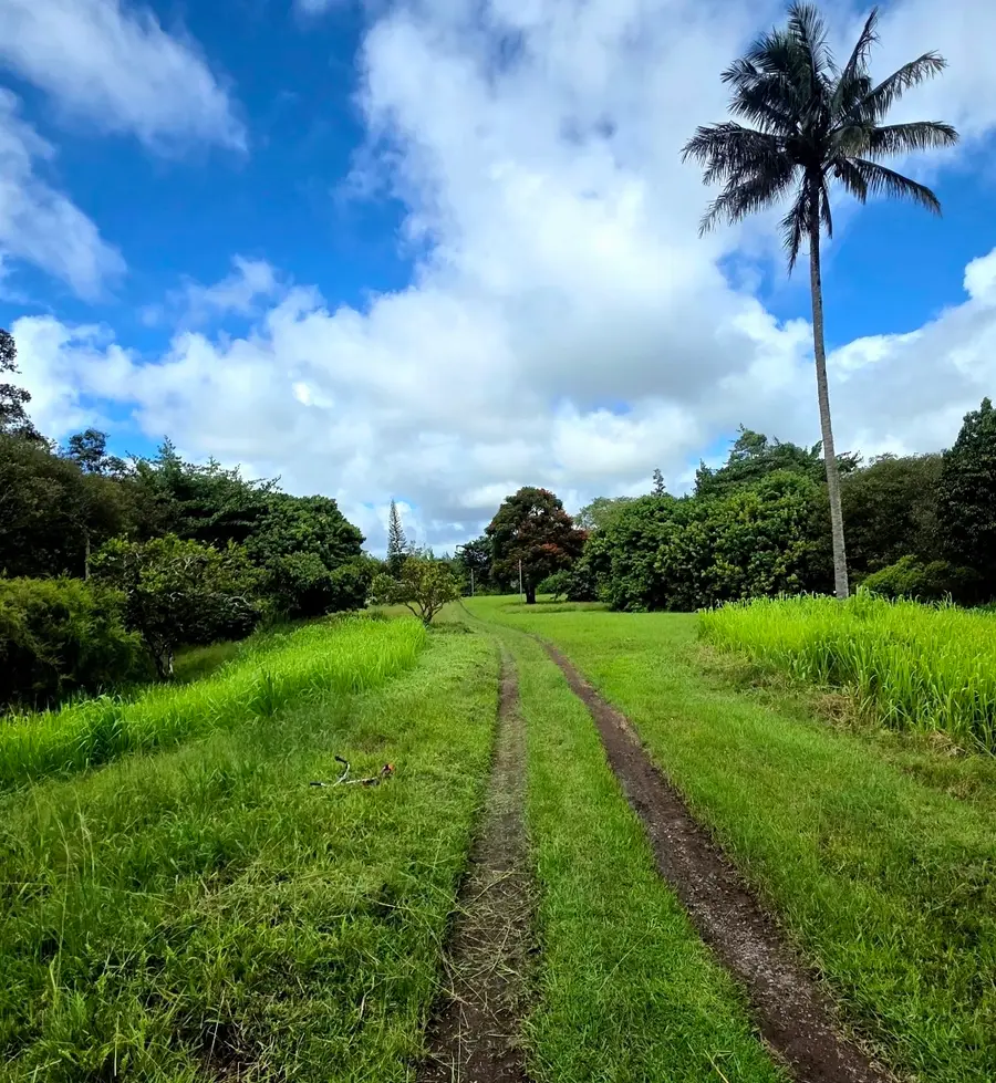16-1272 Hopue Rd, Mountain View, HI 96760 - #3