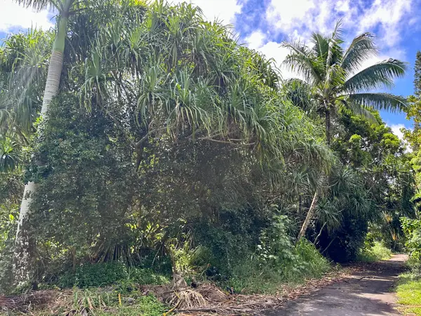 Papaya Farms Rd, Pahoa, HI 96778