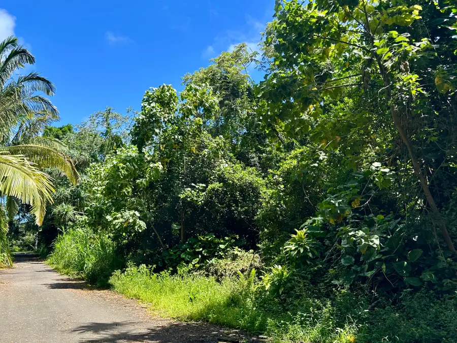 Papaya Farms Rd, Pahoa, HI 96778 - #2
