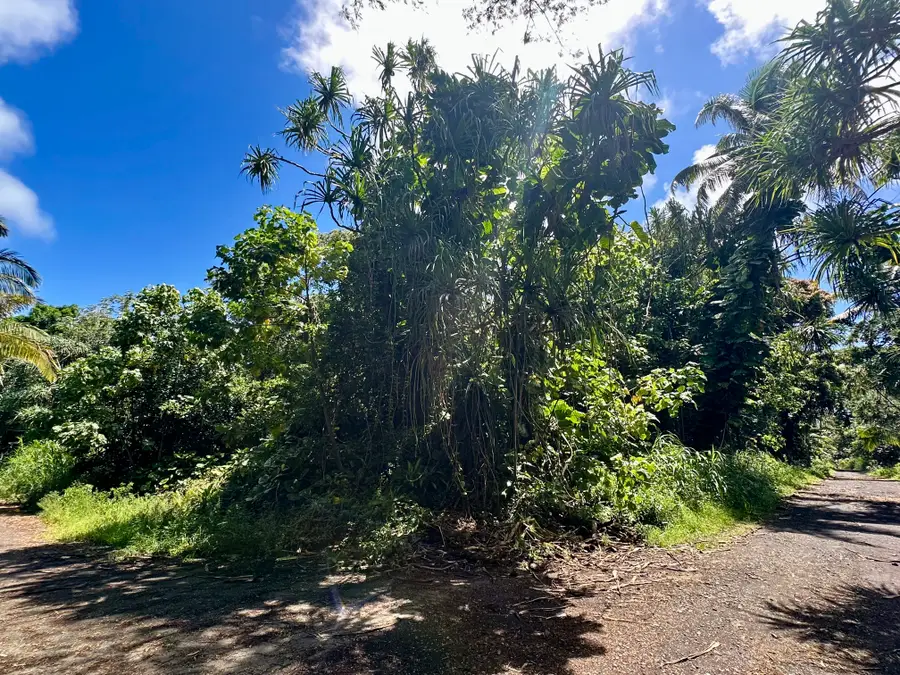 Papaya Farms Rd, Pahoa, HI 96778 - #3