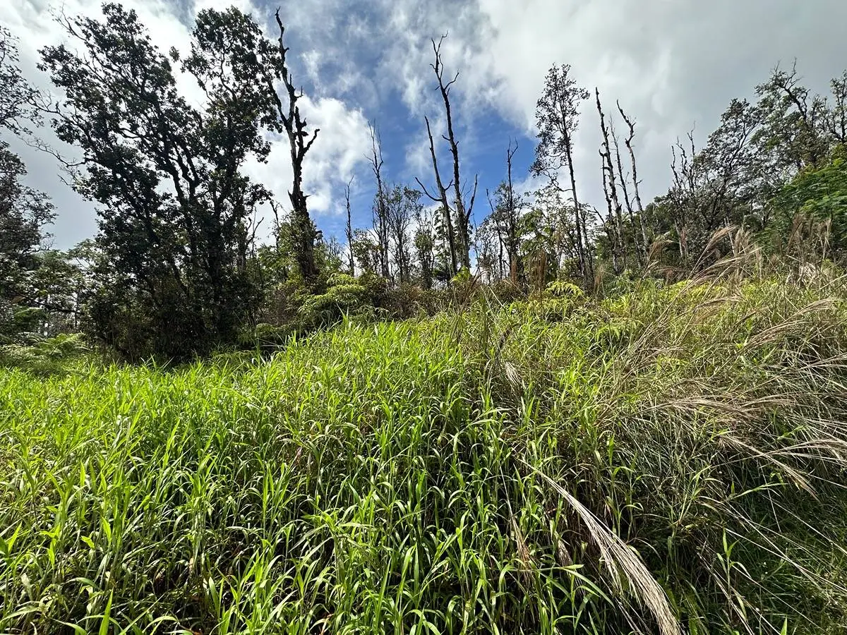 Road 3 (hopue), Mountain View, HI 96771 - #1