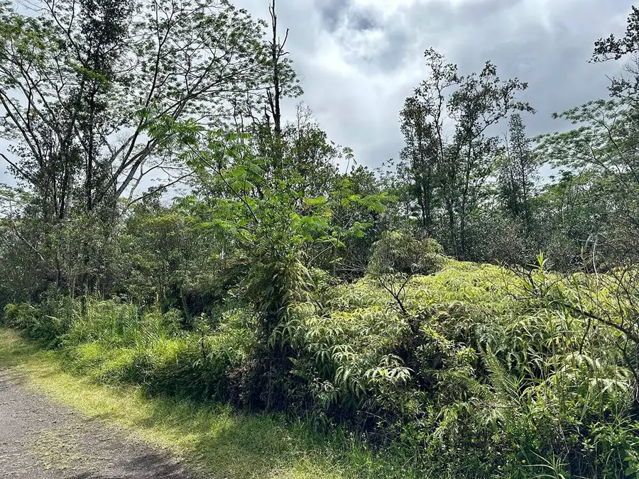 Road 3 (hopue), Mountain View, HI 96771 - #2