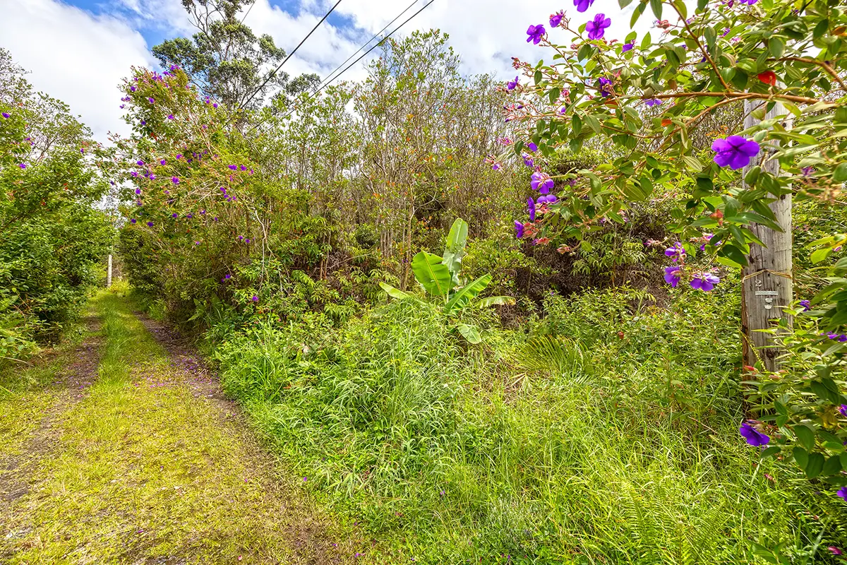 Keola Pl, Mountain View, HI 96771 - #1