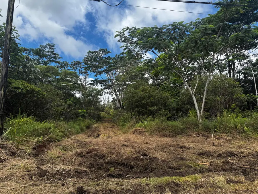 40th Ave, Keaau, HI 96749 - #3
