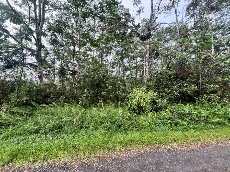 14-3437 Pakalana Rd, Pahoa, HI 96778 - #2