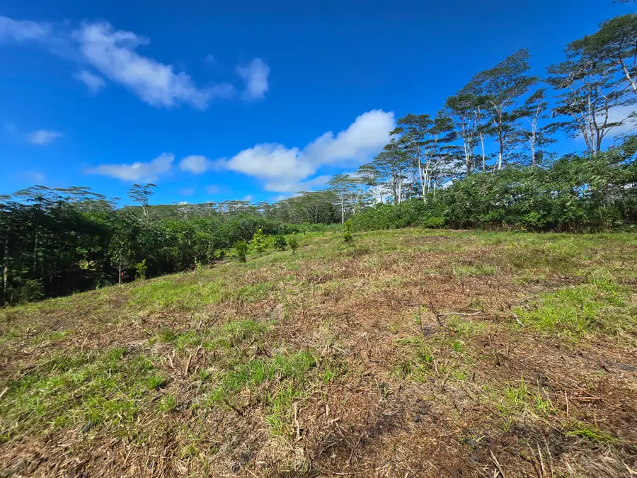 Kapoho Rd, Pahoa, HI 96778 - #3