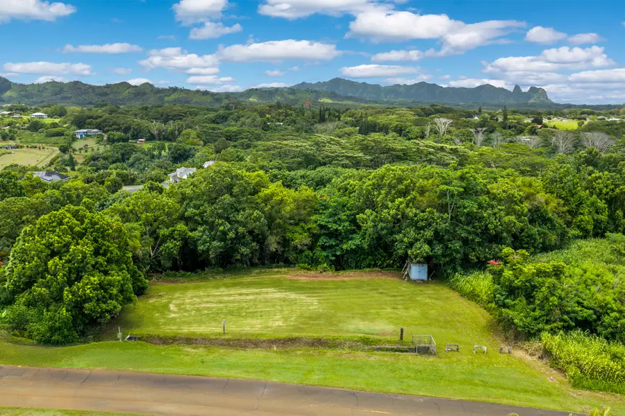 Hauiki Rd, Kapaa, HI 96746 - #3