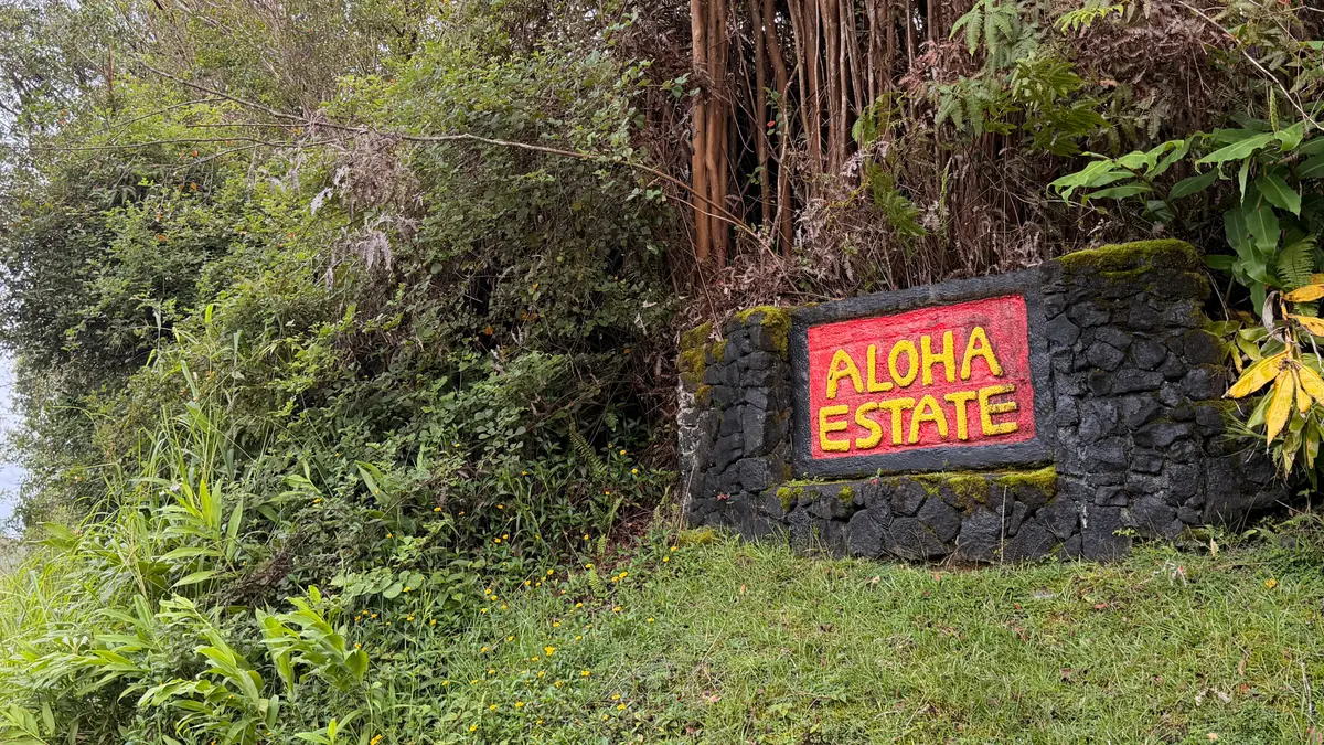 18-2019 Pua St, Mountain View, HI 96771 - #1