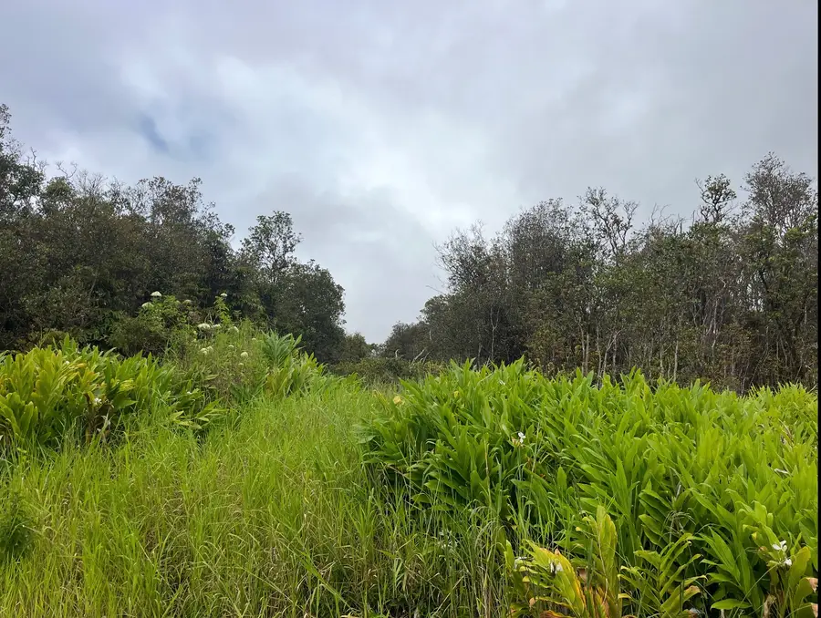 18-2019 Pua St, Mountain View, HI 96771 - #3