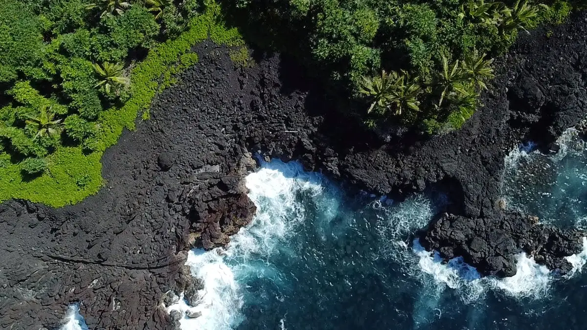14-3755 Government Beach Rd, Pahoa, HI 96778 - #1